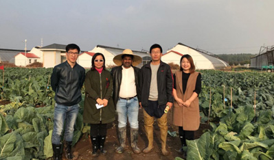 印度蔬菜客户访问hg皇冠·(中国)科技有限公司官网